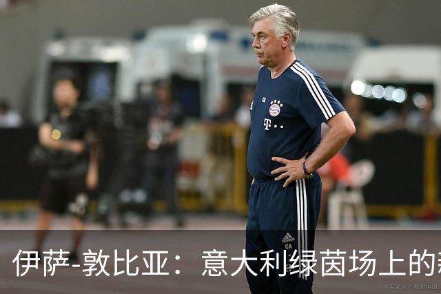 伊萨-敦比亚：意大利绿茵场上的新星