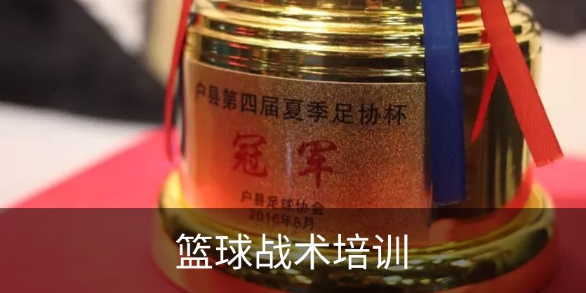 篮球战术培训简介